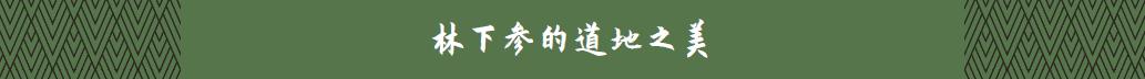 本草知识人参,本草中国视频感悟