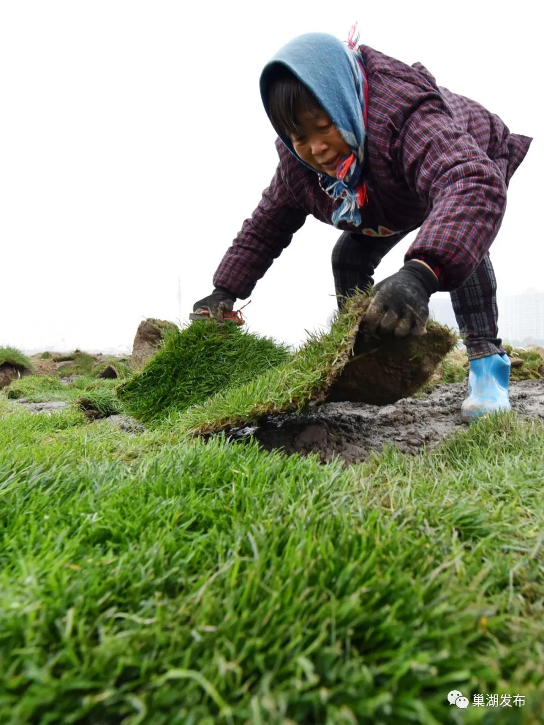 最好的人工草坪足球场,巢湖免费足球场