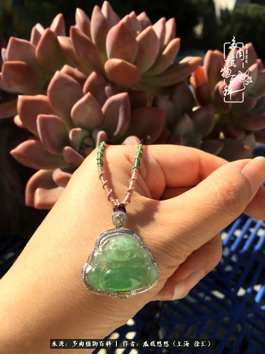 享受岁月,享受岁月静好歌曲原唱