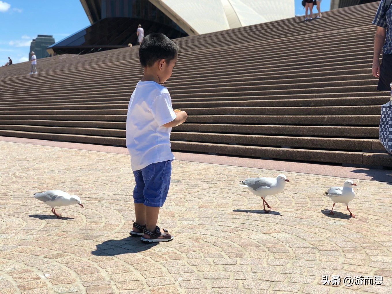 澳洲旅游攻略跟团游,澳洲堪培拉一日游攻略