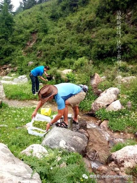 清峰户外回顾（26）清峰新路线：休闲土黄沟，儿童节露营