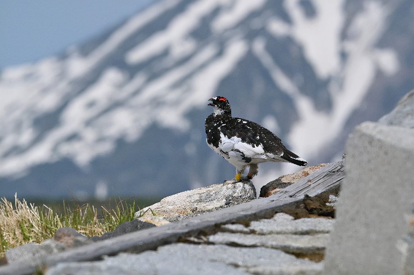 尼康z9发布后续z系列相机,尼康z100-400镜头价格