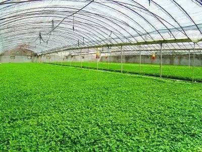 国家农业综合开发项目,国家现代农业产业园有何扶持政策