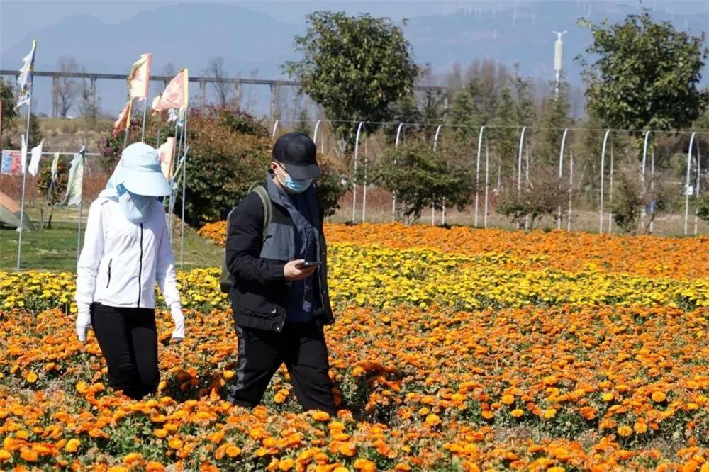 瞧!这花花世界谁不爱