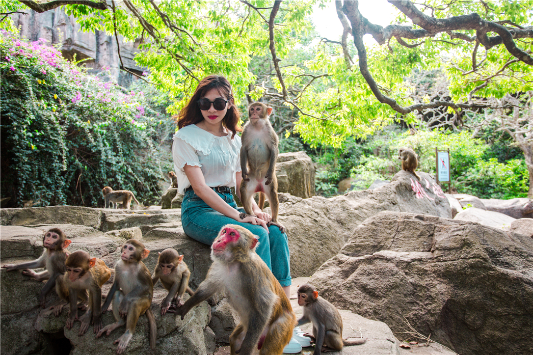 海南必玩猴岛与呆呆丨看萌呆猕猴,呆呆岛发呆