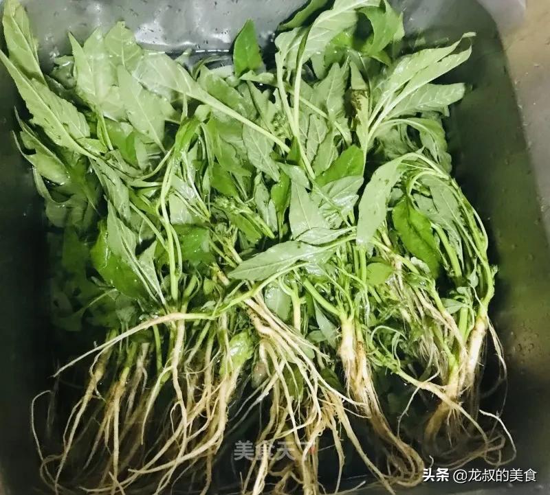 苋菜减肥美白,夏季常吃苋菜能减肥