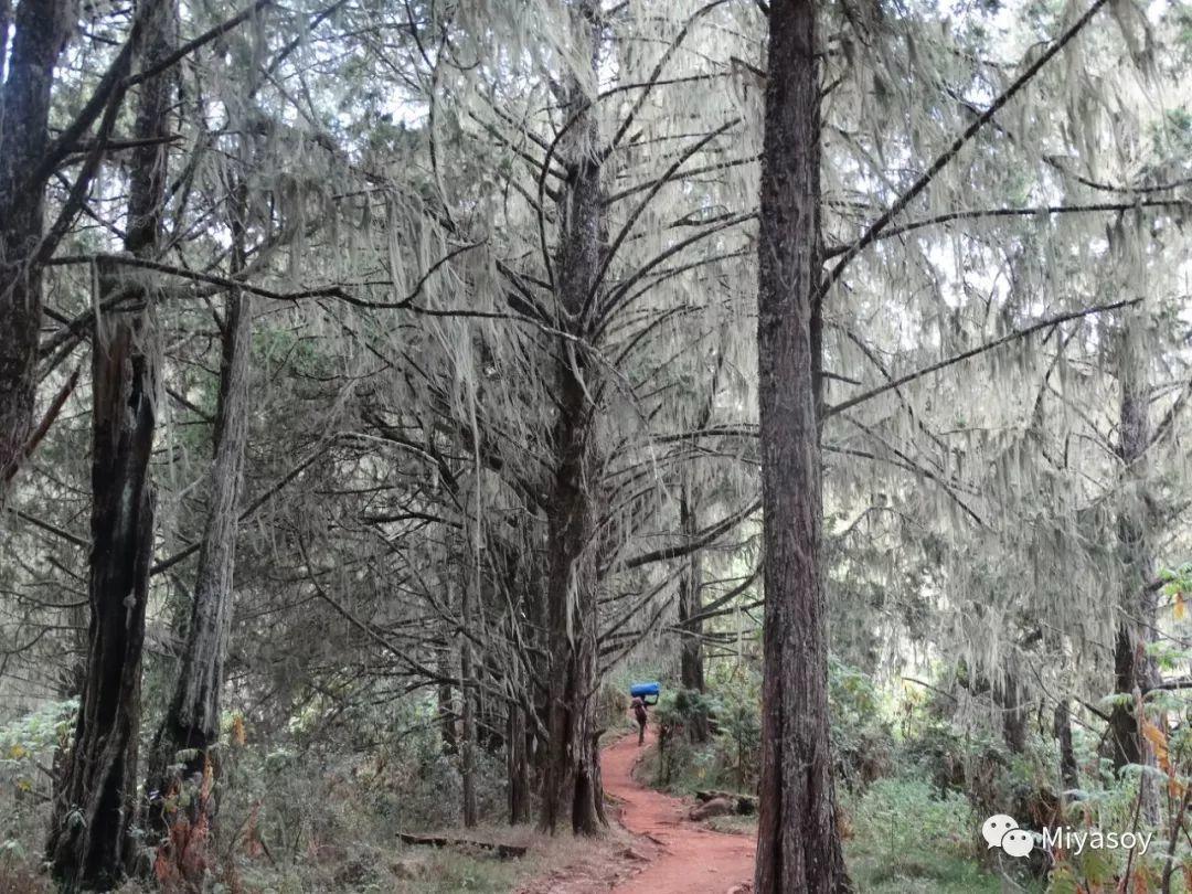 乞力马扎罗雪山冰川,住在珠穆朗玛峰山脚是什么感觉