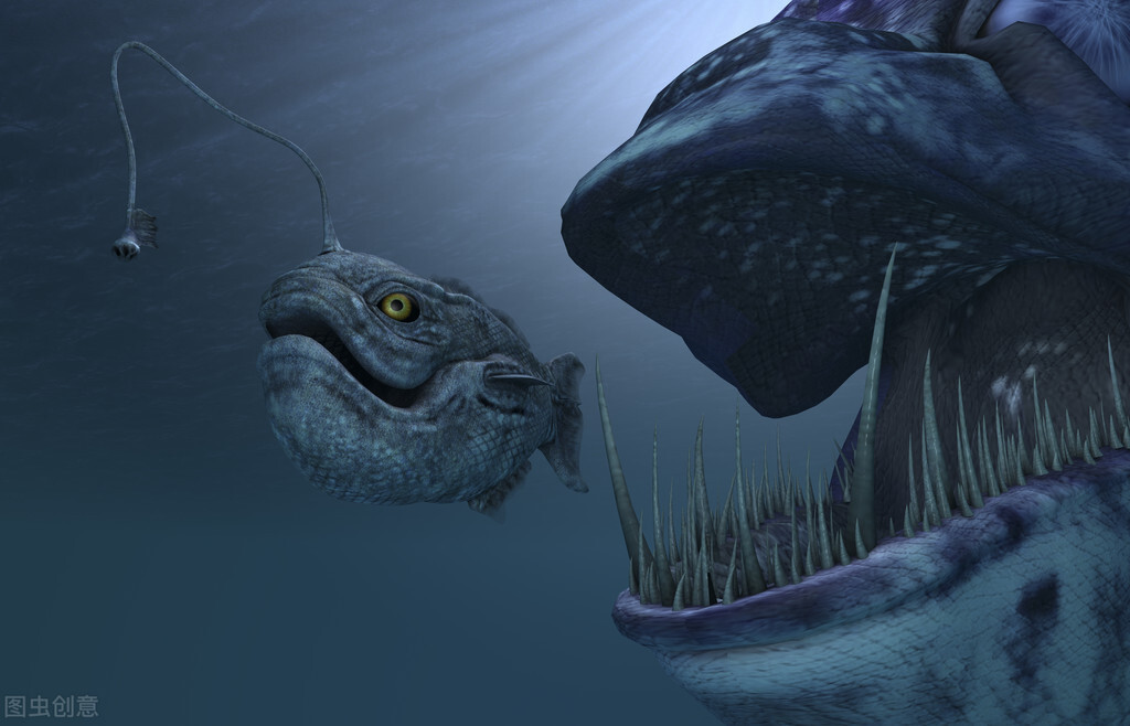 水下世界深海恐惧症,深海恐惧症水下若隐若现