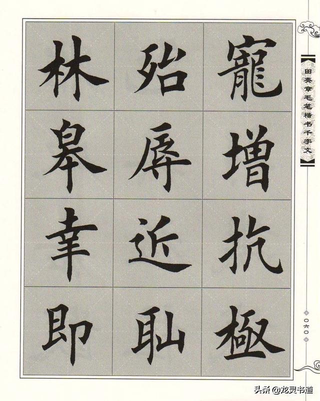 千字文正,千字文林鹏智宇