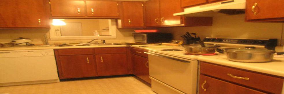 美国之旅全集,美国之行深度解析