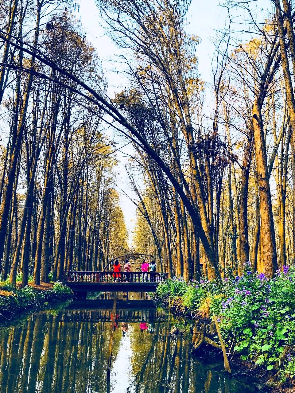 泰州中国最幸福的城市,泰州哪里比扬州好