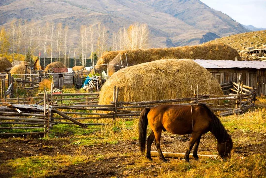 新疆的北疆和南疆哪个更美,北疆新疆之美