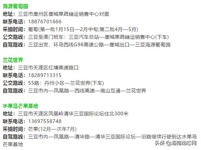 趁着春光出游海南,趁着春光明媚去旅行