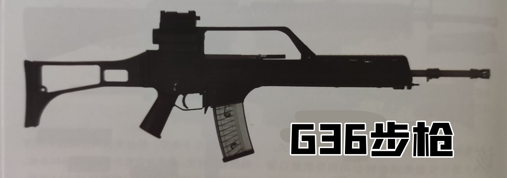 英国枪史图册全篇,德国枪图片