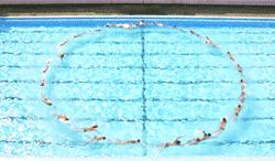 唐人街探案3妻夫木聪花衬衫,唐人街探案3里面四位帅哥