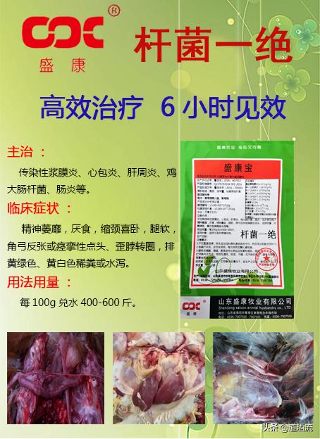 鸭子脚无力是什么病,鸭子得软脚病怎么治疗