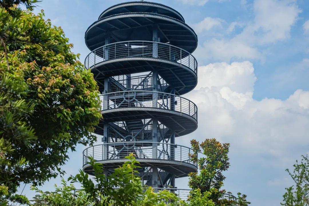 莫干山原木风绿野仙踪花园民宿,莫干山桃坡探险乐园绿野仙踪