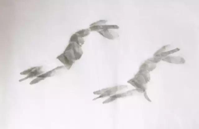 墨龙画法教程简单毛笔,河虾简笔画教程