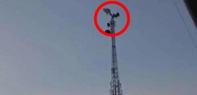 恐怖未知生物目击事件视频,海洋深处目击的未知生物