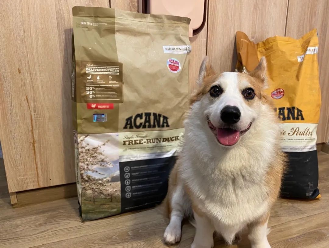 618粉丝福利专场,618粉丝福利商品