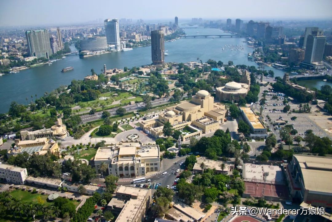 这个国家不会讲自己的母语,疯狂热爱养猫,猫死还要守孝你知道吗