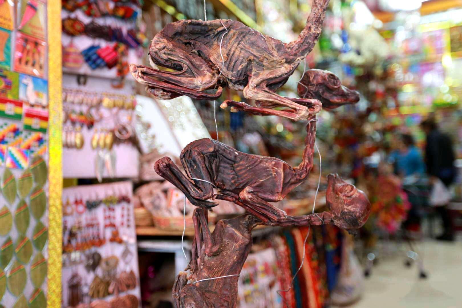 秘鲁女巫市场施法,女巫集市