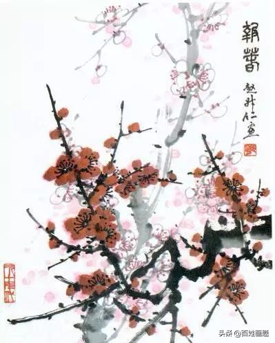 国画梅花画法视频,徐湛梅花画法教程