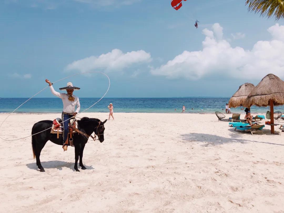 2020iphone摄影赛第一名,2019iphone摄影大赛获奖作品