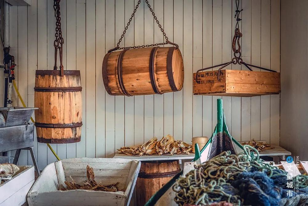 维京遇到全域旅游,美丽乡村、特色小镇一网打尽:挪威渔业史漫步