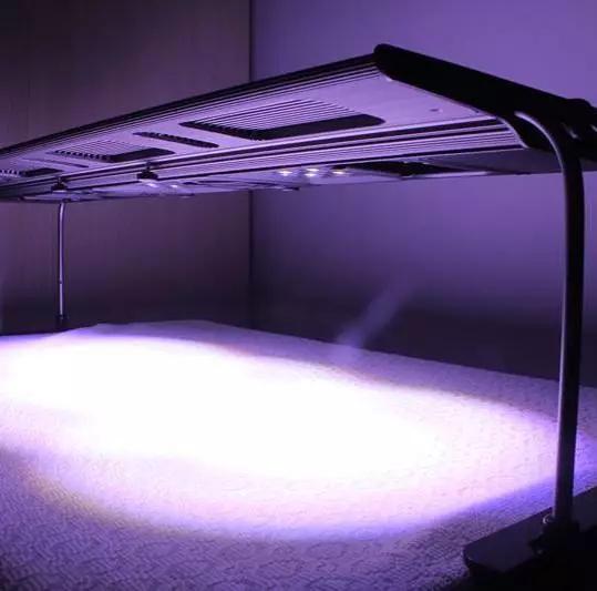 柏林系统海水缸,海缸柏林系统多久完善