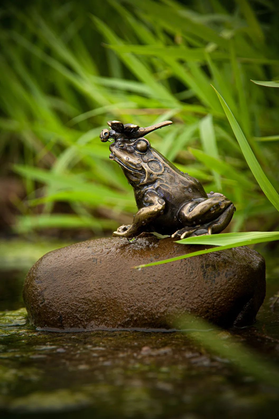 茶宠:席间清供,玩物养志