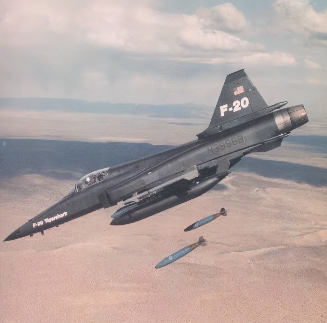 虎鲨悲剧,极富悲剧色彩的虎鲸