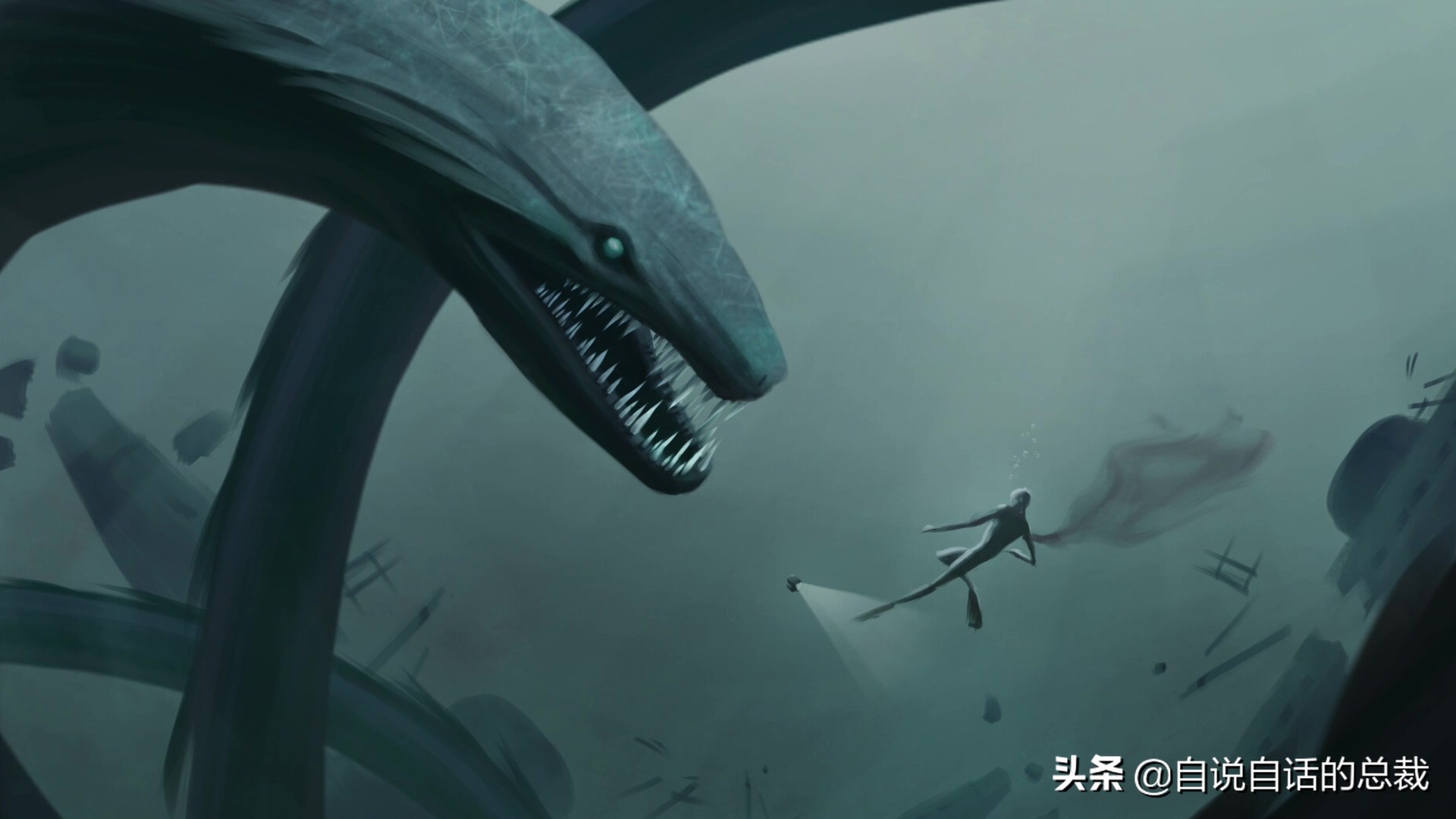 原来，你吃的鳗鱼，每一只都见过海底深渊的秘密｜自说自话的总裁