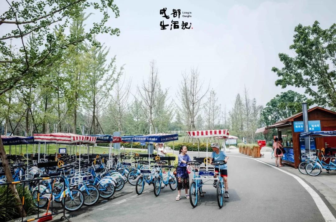 成渝中线高铁新建十陵,成渝高铁中线十陵南站建设时间