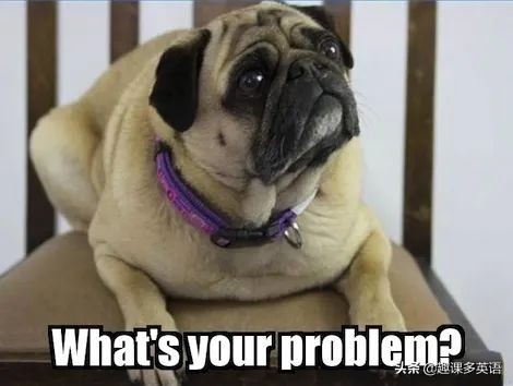 问老外可以直接说doyouunderstand吗,问歪果仁年龄礼貌吗