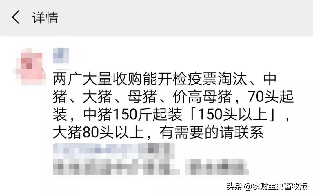两广抛售仔猪,卖一头猪亏损超200元猪价何时止跌