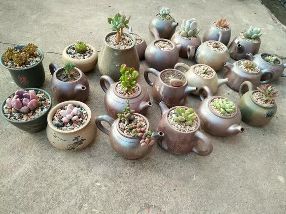 变废为宝可乐花盆手工制作幼儿园,变废为宝的创意花盆自己手工制作