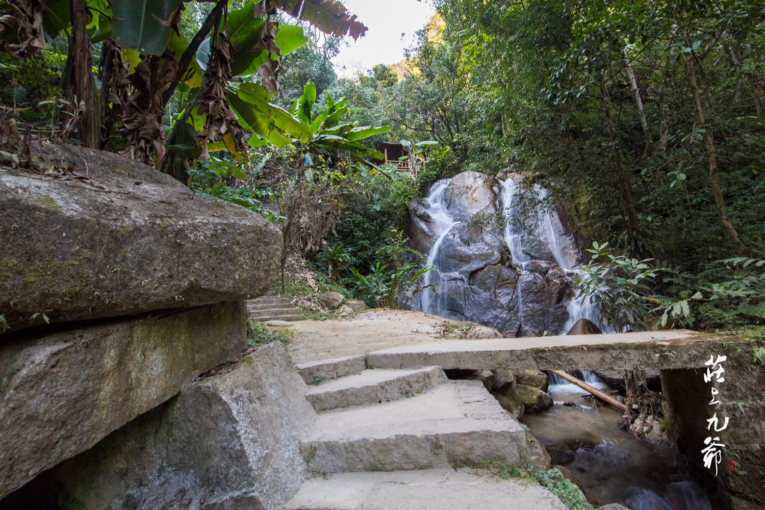 高黎贡山秘境森林,高黎贡山樱花谷温泉