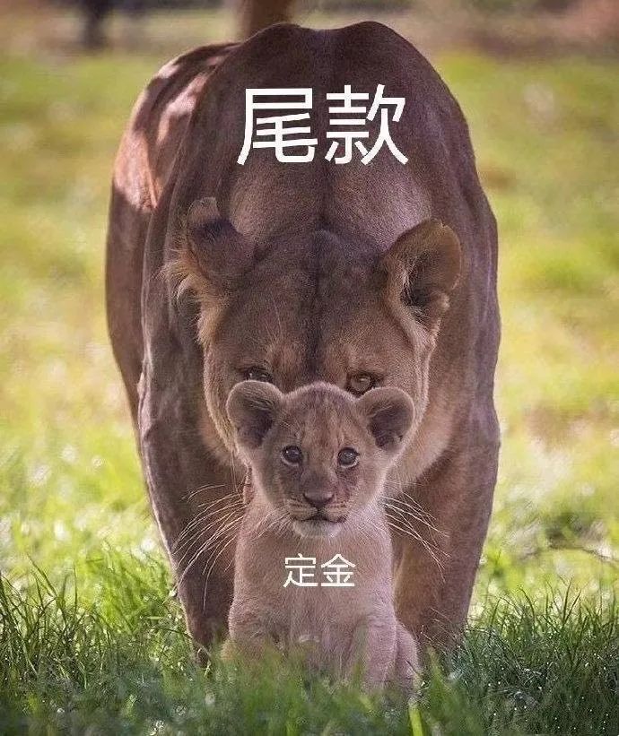 5位尾款人讲述:买了3万多的东西,准备退掉一大半