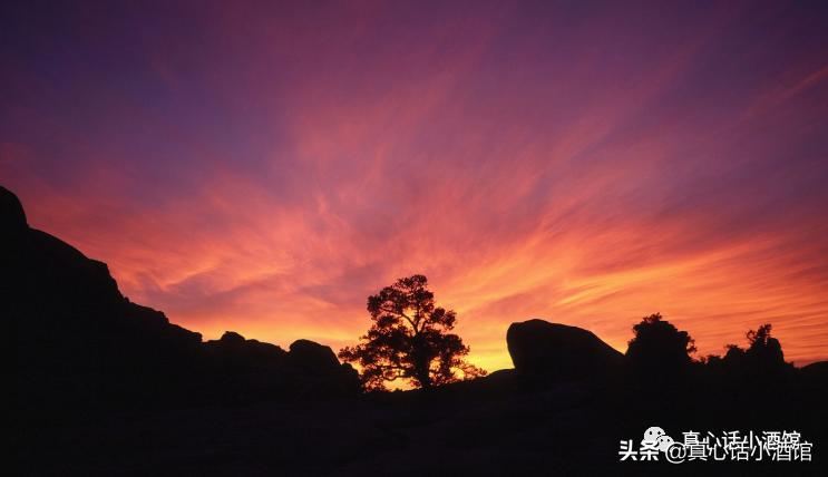 如何一个星期追上女生,跑步如何快速追上别人