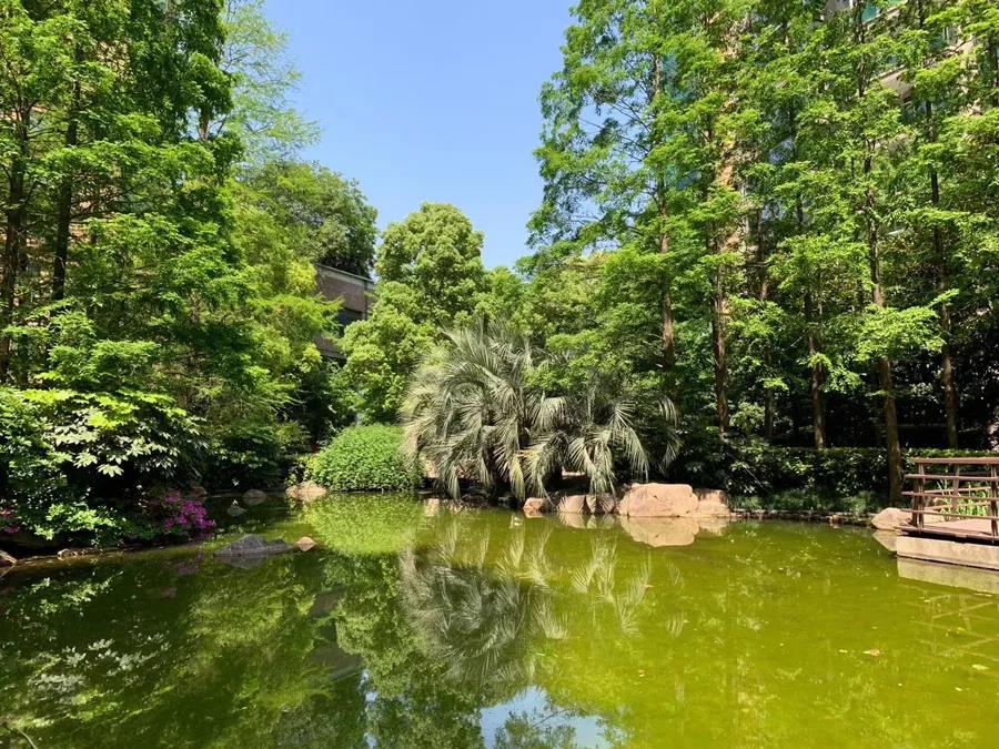 国际丽都城250平方,国际丽都城