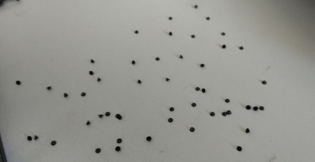 小米air13.3拆机,小米air13寸拆机换电池