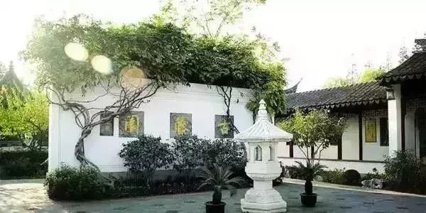 上海23个免费游玩的景点攻略,上海值得去的免费景点排名前十