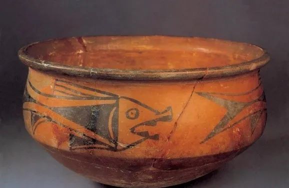 全球最古老的鱼在哪发现的,目前存有最古老的鱼是什么鱼