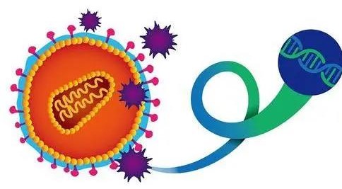 慢乙肝的五大误区 (慢乙肝能治愈么)