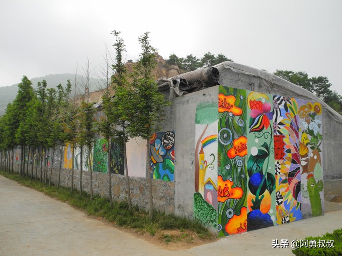 青岛二中2019高考成绩,经验分享大学专业