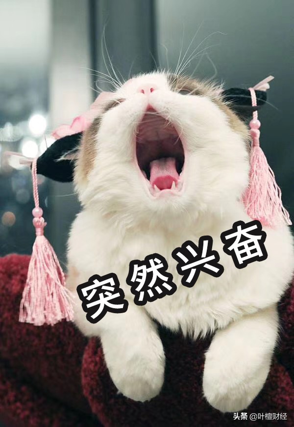 叶檀股市,叶檀谈茅台股市