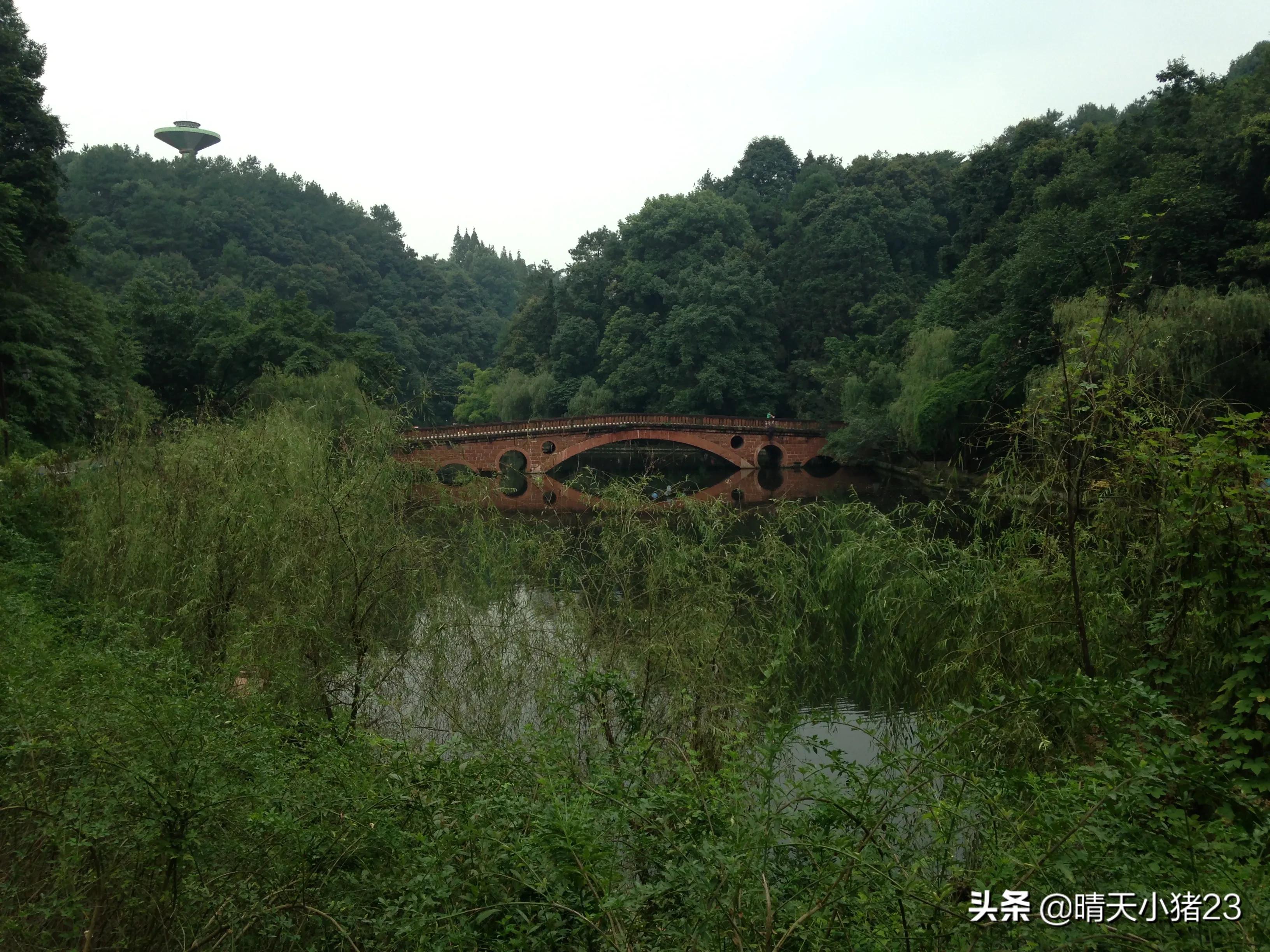 海棠香国乐山宣传视频,海棠香国乐山在哪里