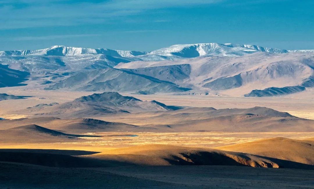 谁在保护金丝猴,谁在保护北极熊