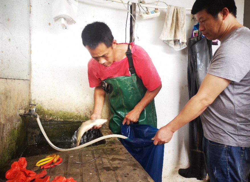 寤虹摨鏈ㄧ妧鐧介奔,鏈ㄧ妧鐧介奔寤虹摨